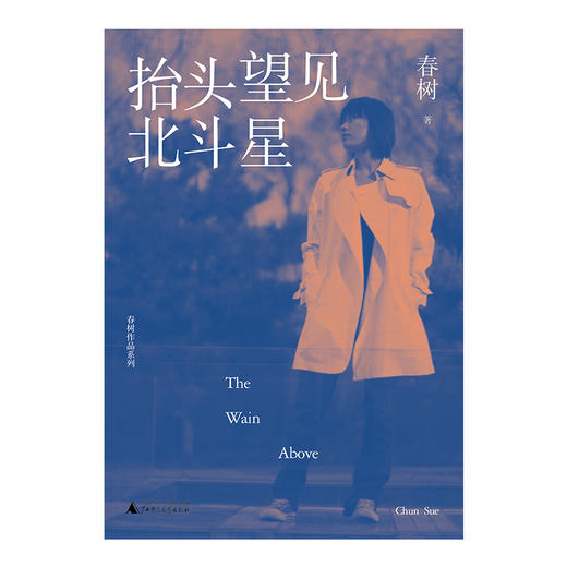 春树作品系列 抬头望见北斗星 春树/著 商品图1