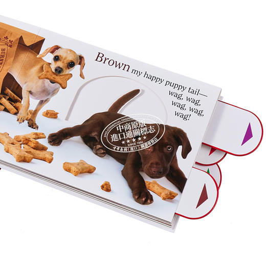 【中商原版】Matthew Van Fleet: Color Dog 彩色的狗狗 立体翻翻书 英文原版 进口图书 亲子童书 4-6岁 商品图3