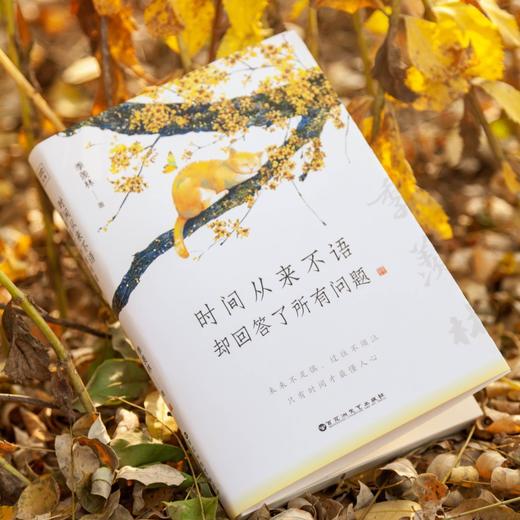 名家巨匠散文集（全四册）：一套书阅尽大师们百年智慧和生活艺术 商品图3