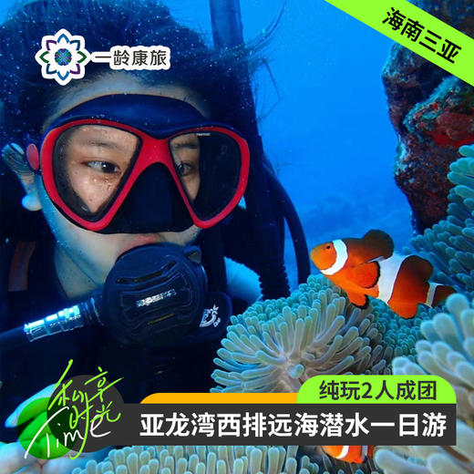 海南三亚·亚龙湾西排远海潜水一日游(纯玩2人精致小团+专属司导+一龄接送） 商品图0