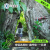 海南三亚·呀诺达雨林天然氧吧一日游(纯玩2人精致小团+专属司导+一龄接送） 商品缩略图0