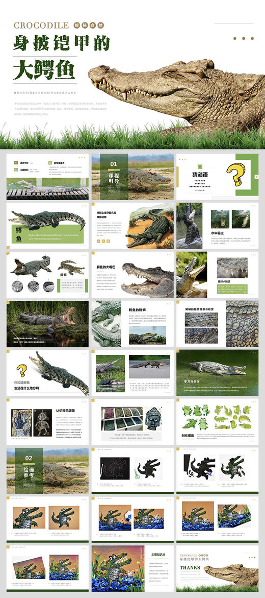 《身披铠甲的大鳄鱼》【自动发货：下单后，点击手机短信中收到的链接，即可获取文件下载的链接；如有任何问题，可添加客服微信hm33268获得帮助】 商品图1