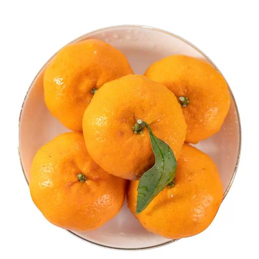 泰国蜜桔（5kg）/份 商品图0