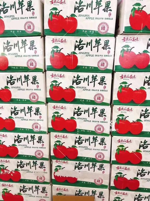 大箱洛川苹果一箱（拼团） 商品图1