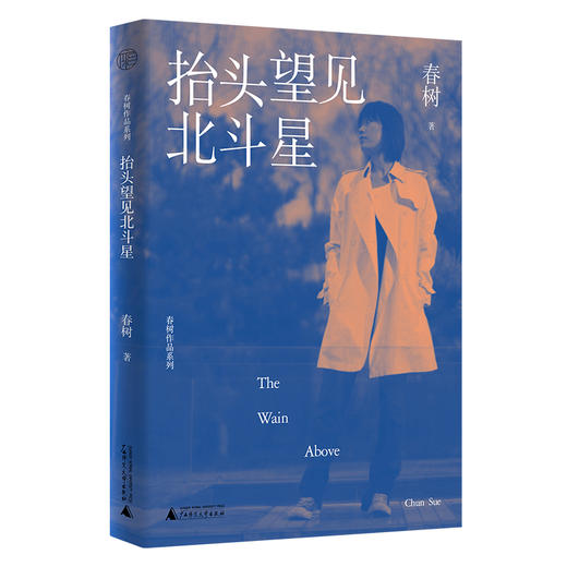 春树作品系列 抬头望见北斗星 春树/著 商品图0