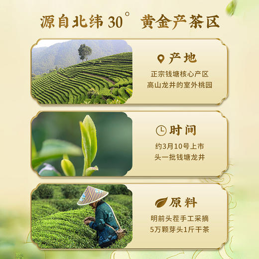 【西湖工夫】2025年明前特级杭州龙井茶口粮茶 手工包250g 商品图3