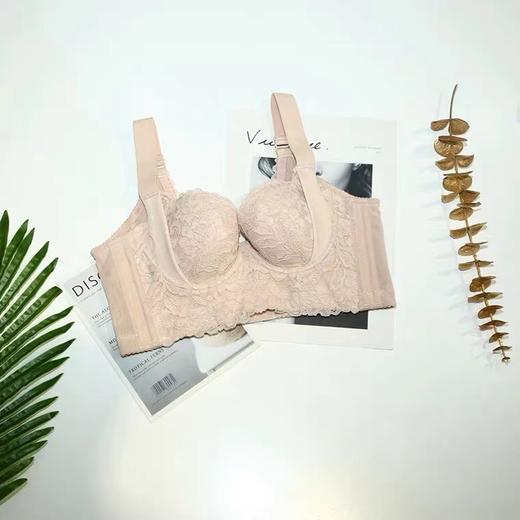 【款式1368】新款性感蕾丝边内衣任意扭曲不变形记忆软钢圈柔软罩杯 商品图7