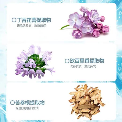 【VIP-G】芭思蔻头皮净澈洗发水500ml 商品图2