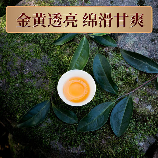 【老品牌 原产地 好口碑】桃渊茗 随饮 金骏眉 60泡/盒 共510g/盒 礼盒装 商品图2