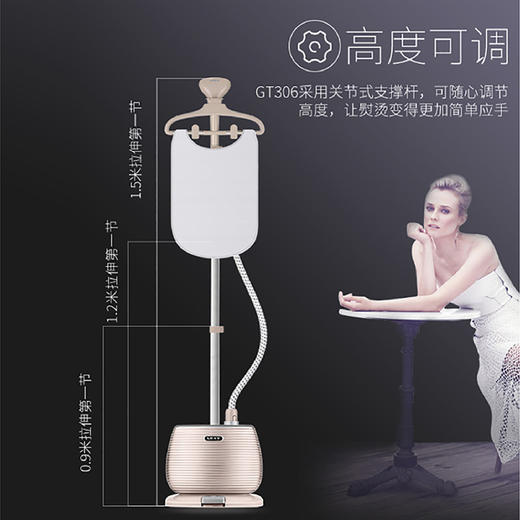 莱克 挂烫机 GT306 商品图6