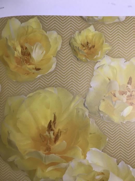 版画：时尚，室内，艺术 约200余幅插图 精装16开 商品图10