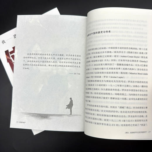 侠盗的遗产 商品图6