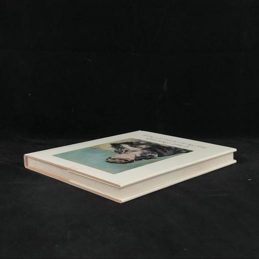 芝加哥艺术学院伟大画作图集 109幅插图（105幅彩色） 精装大16开 商品图2