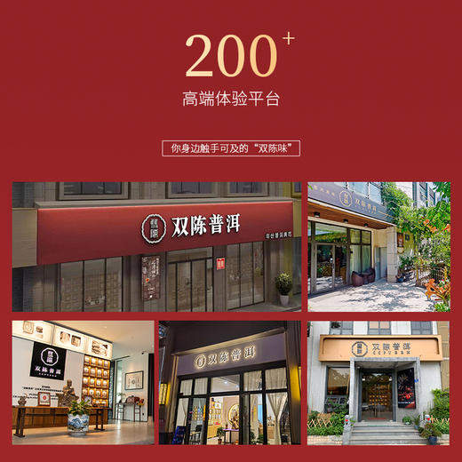2021年陈韵壹号熟茶357g/片云南七子饼茶勐海古树茶2016年古树春茶压制 商品图7
