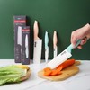 XLJ易铂陶瓷刀 商品缩略图0