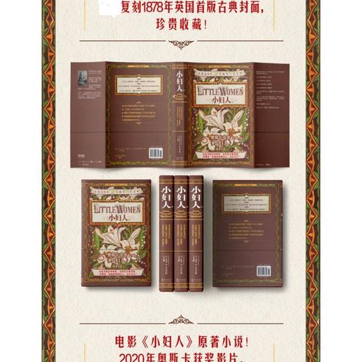 小妇人  （美）露易莎·梅·奥尔科特著 王之光译 商品图3