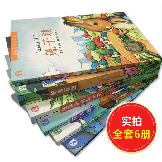 【淘乐思】国际儿童文学奖系列(全6本) 8-14岁小学生阅读课外书 商品图1