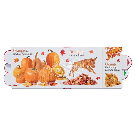 【中商原版】Matthew Van Fleet: Color Dog 彩色的狗狗 立体翻翻书 英文原版 进口图书 亲子童书 4-6岁 商品图7