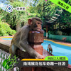 海南三亚·南湾猴岛包车一日游(纯玩2人精致小团+专属司导+一龄接送） 商品缩略图0