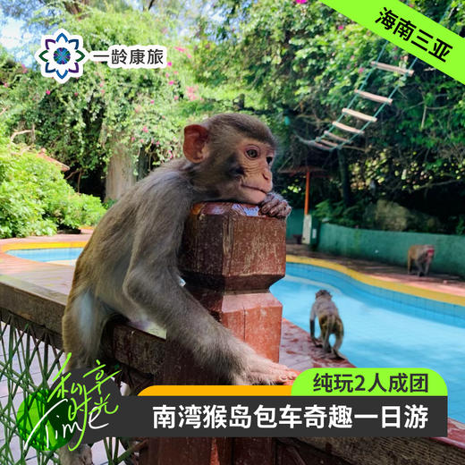 海南三亚·南湾猴岛包车一日游(纯玩2人精致小团+专属司导+一龄接送） 商品图0