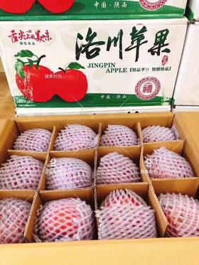大箱洛川苹果一箱（拼团）