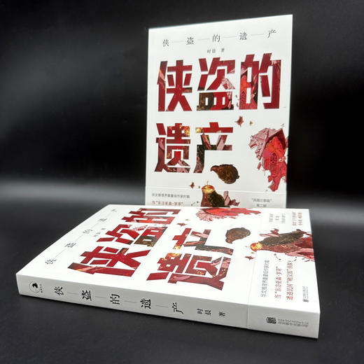 侠盗的遗产 商品图3