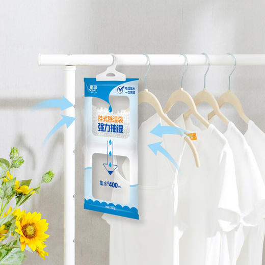 惠寻挂式除湿袋200g*1袋 商品图0