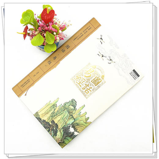 图话《易经》  中医人必读国学经典丛书 龙若飞 著 中国中医药出版社  中医师承学堂丛书 书籍 商品图2