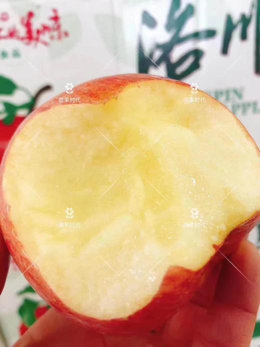 大箱洛川苹果一箱（拼团） 商品图2