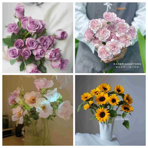 【不能犹豫】紫霞仙子玫瑰10支+优选单头康乃馨10支+小花向日葵5支+油画牡丹5支/份 商品图0