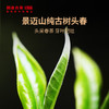 【尝一口春天的味道】澜沧古茶2023年景迈古树头春茶（散茶）500g 商品缩略图1