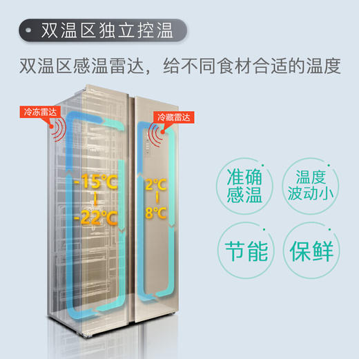 TCL 对开门冰箱 BCD-509WEFA1流光金 商品图2