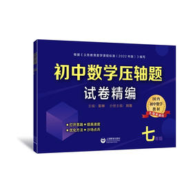 初中数学压轴题试卷精编.七年级