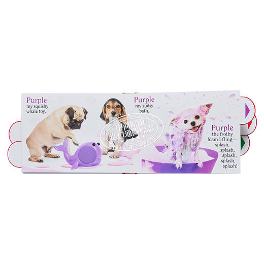 【中商原版】Matthew Van Fleet: Color Dog 彩色的狗狗 立体翻翻书 英文原版 进口图书 亲子童书 4-6岁 商品图4