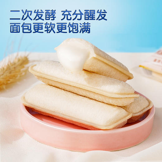 【6月会员日积分兑换】三只松鼠_国民好烘焙乳酸菌小口袋/原味/500g（每人限购1份） 商品图5
