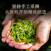 【老品牌 原产地 好口碑】桃渊茗 随饮 金骏眉 60泡/盒 共510g/盒 礼盒装 商品缩略图1