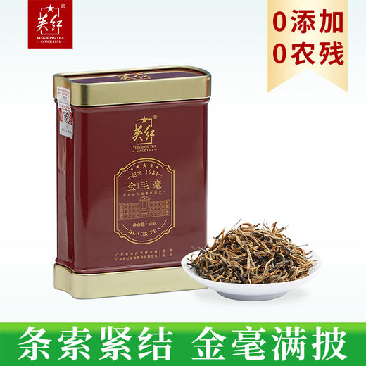 【上万颗芽头制出一斤茶】英红牌 2023明前春茶 特级金毛毫 高香有机红茶 英红九号 50g/罐（京东同款） 商品图2