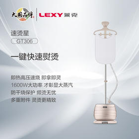 莱克 挂烫机 GT306