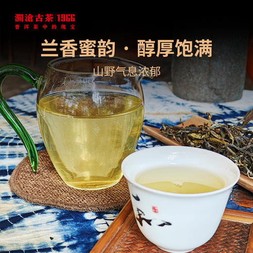 【尝一口春天的味道】澜沧古茶2023年景迈古树头春茶（散茶）500g 商品图4
