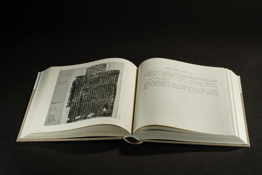 寰宇贞石图校理 商品图2