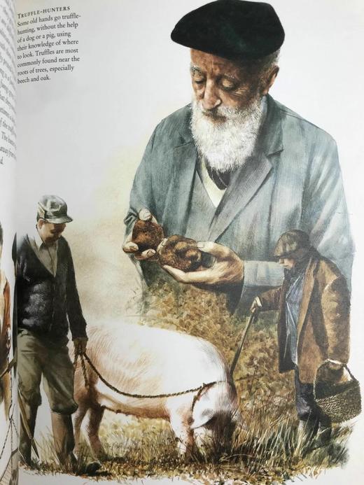 世界风俗与仪式庆典 数百幅彩色插图 精装大16开 商品图8