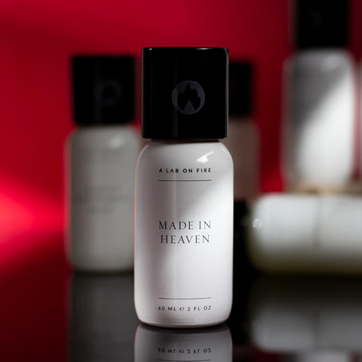 燃烧的实验室 天造地设 A Lab on Fire Made in Heaven 分装 商品图0