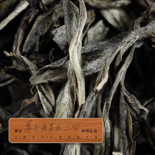 春茶预售【犀牛塘单株】茶农联合出品，一树一成品纯料至尊升级包装为500克更具收藏与送礼价值 商品图4