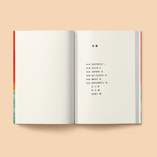 《牛津通识读本：社会心理学》 商品图3