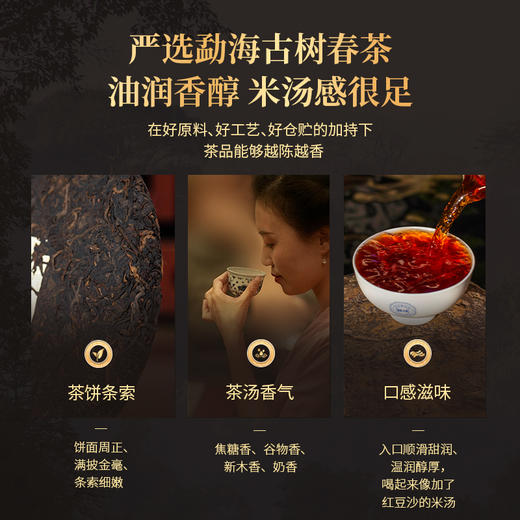 2021年陈韵壹号熟茶357g/片云南七子饼茶勐海古树茶2016年古树春茶压制 商品图3
