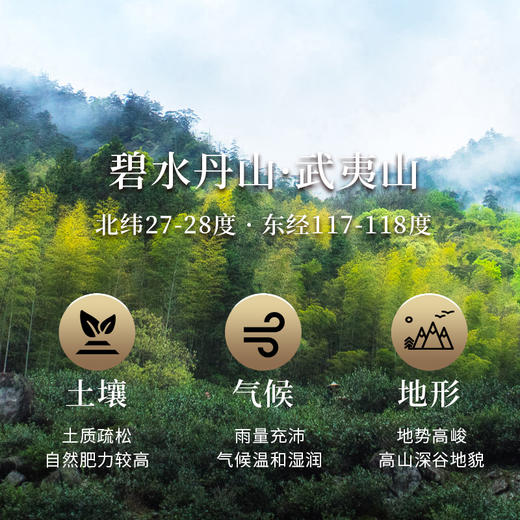 【老品牌 原产地 好口碑】桃渊茗 随饮 金骏眉 60泡/盒 共510g/盒 礼盒装 商品图4