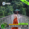 海南三亚·亚龙湾热带天堂森林公园一日游(纯玩2人精致小团+专属司导+一龄接送） 商品缩略图0