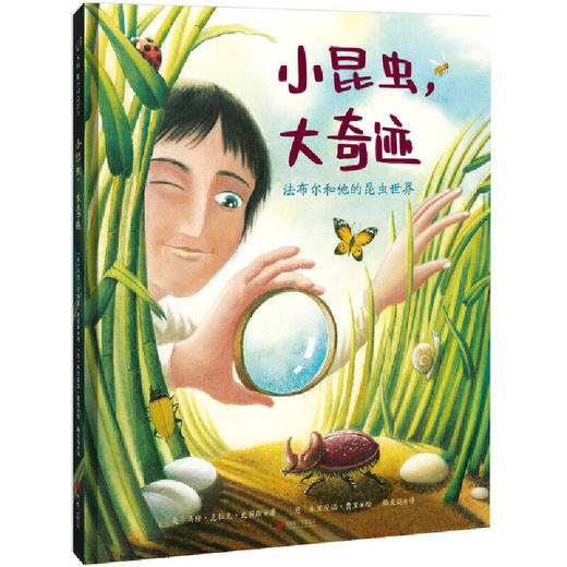 小昆虫，大奇迹：法布尔和他的昆虫世界 商品图0