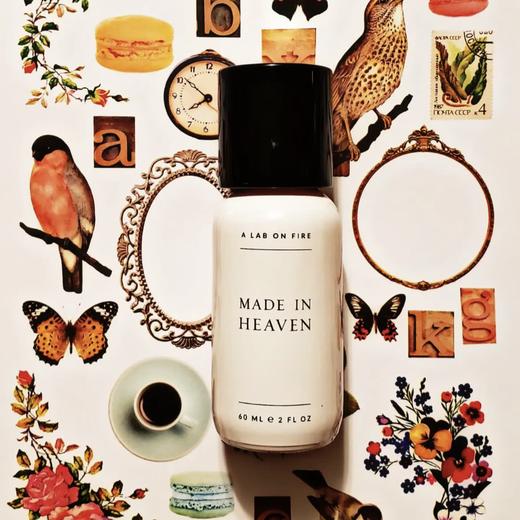 燃烧的实验室 天造地设 A Lab on Fire Made in Heaven 分装 商品图1