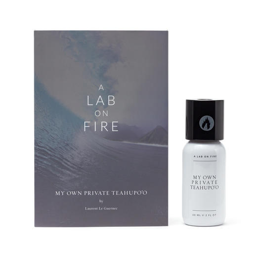 燃烧的实验室 我自己的私人冲浪地 A Lab on Fire My Own Private Teahupo'o 分装 商品图5